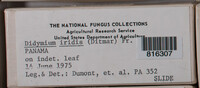 Image Associated With the Occurence